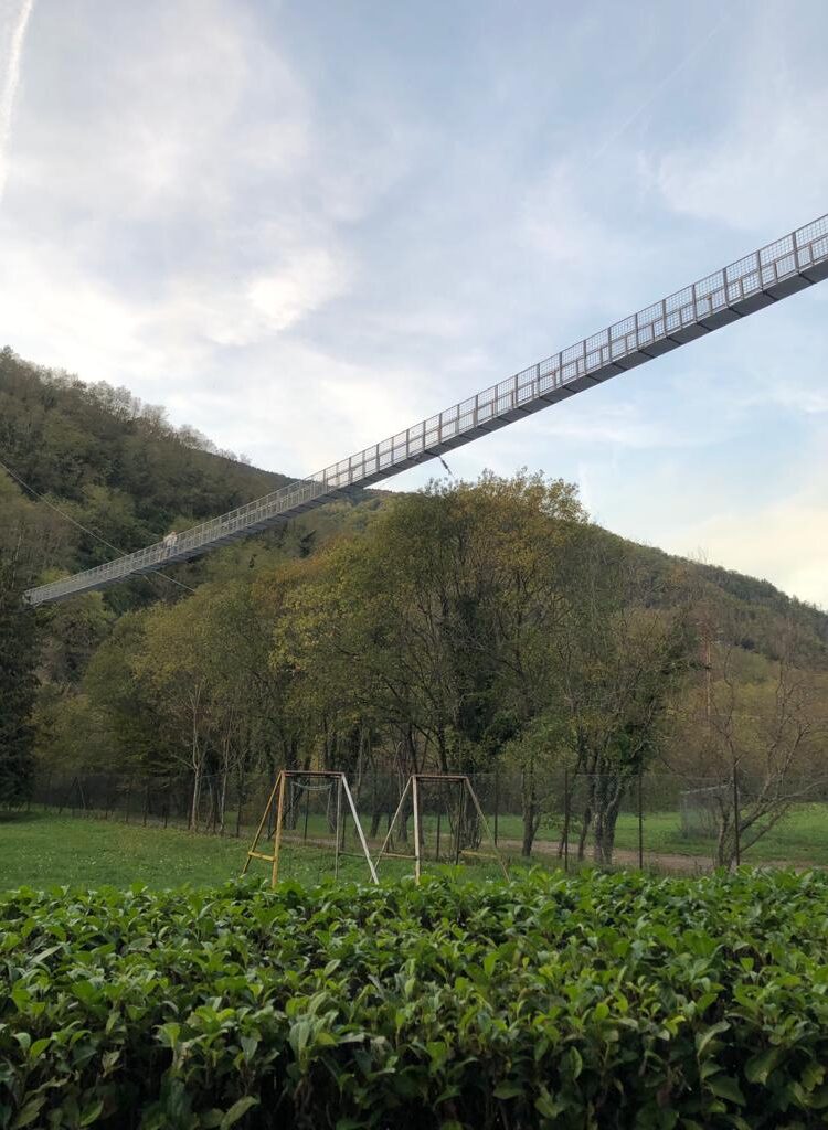 Puente Colgante, Toscana