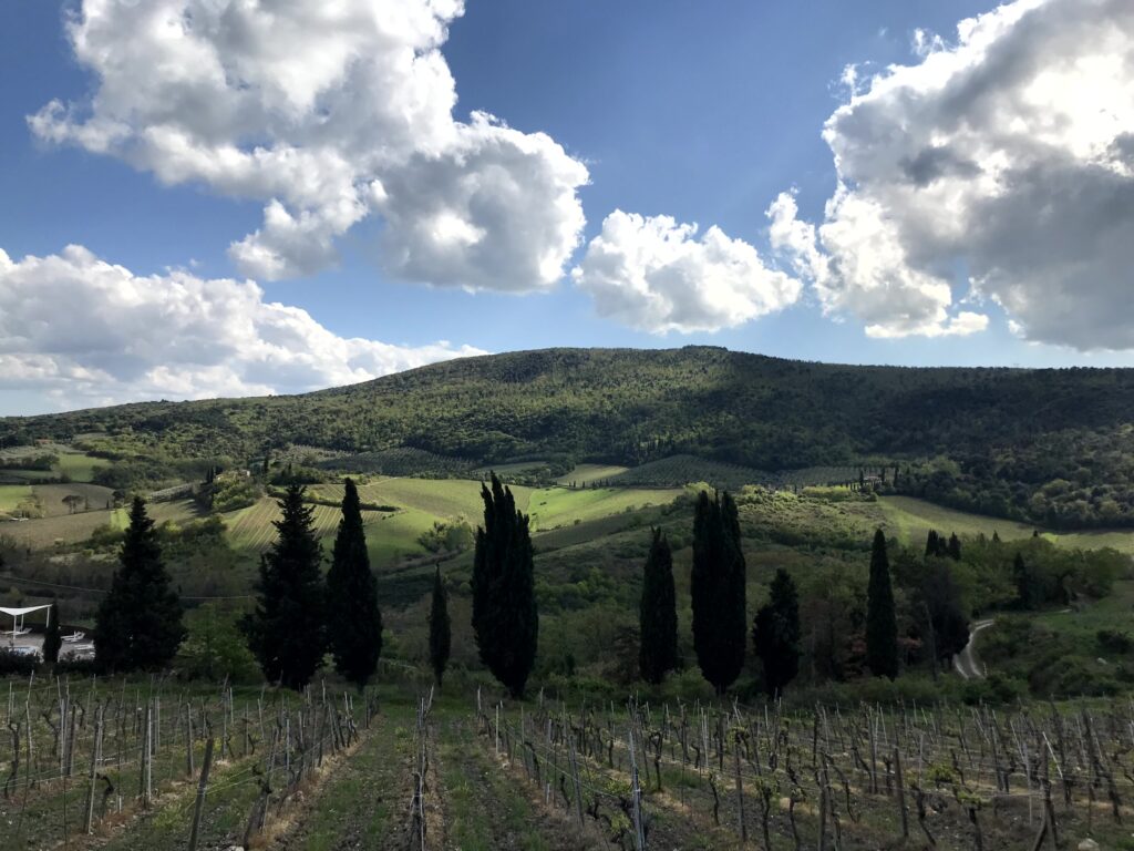 Vía San Gimignano