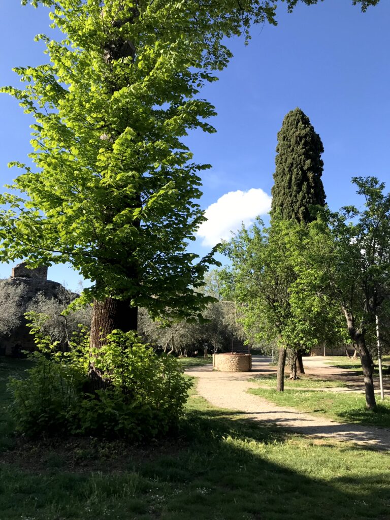 Rocca de Montestaffoli